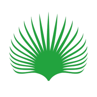 Buriti